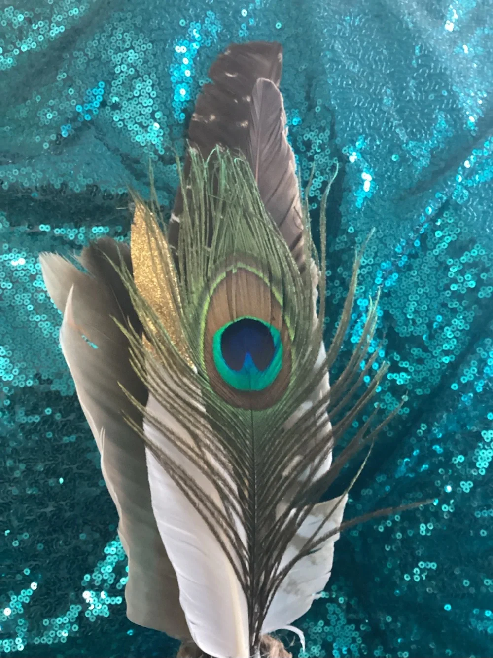 Man Energy Feather Leather Smudger w/Peacock,Turkey and others 16